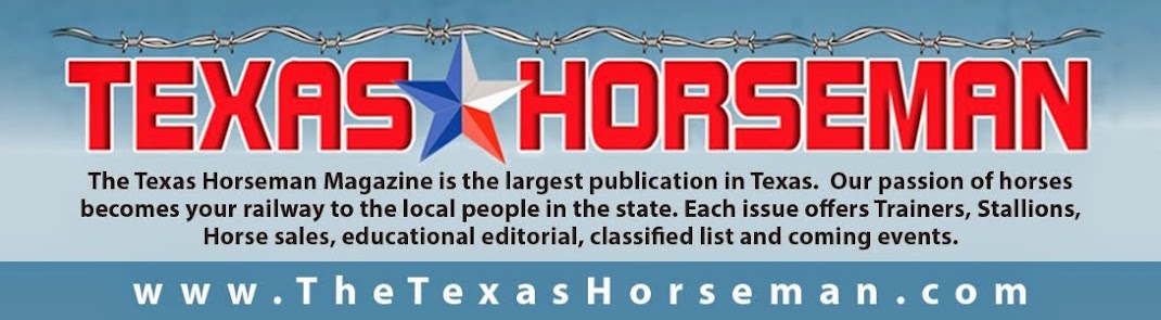 The Texas Horseman