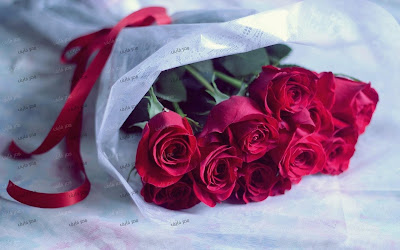 قصي...ورودي تكفي bouquet_flowers_rose
