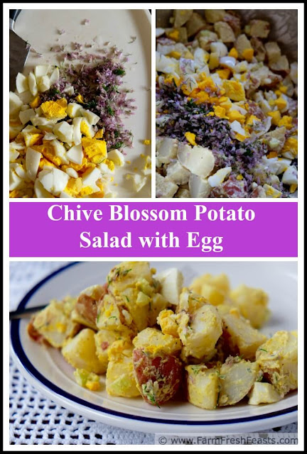 A fresh and pretty side dish for a Spring table, this potato salad combines chive blossoms and hard cooked eggs with red skin potatoes and tangy mustard.