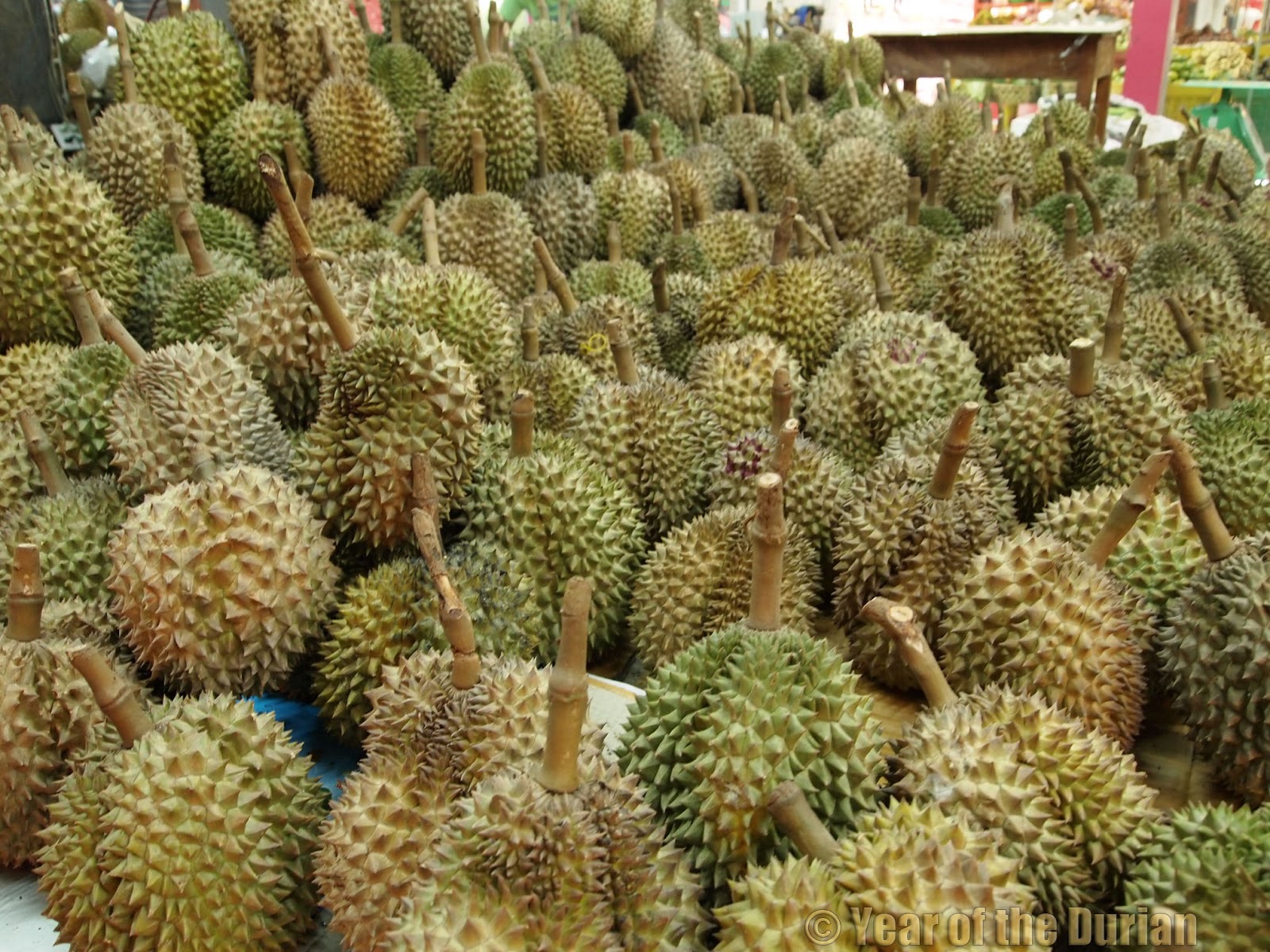 Дуриан фрукт вьетнам Дуриан фрукт вьетнам