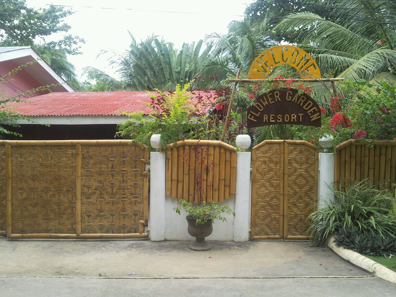 The Wayward Wanderer: Bohol-Panglao: Who is Alona?