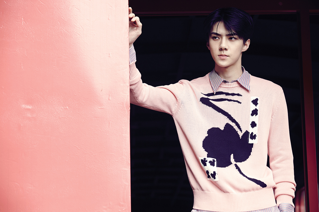 Giri indah umbarawati: Profil Biodata Oh Sehun EXO