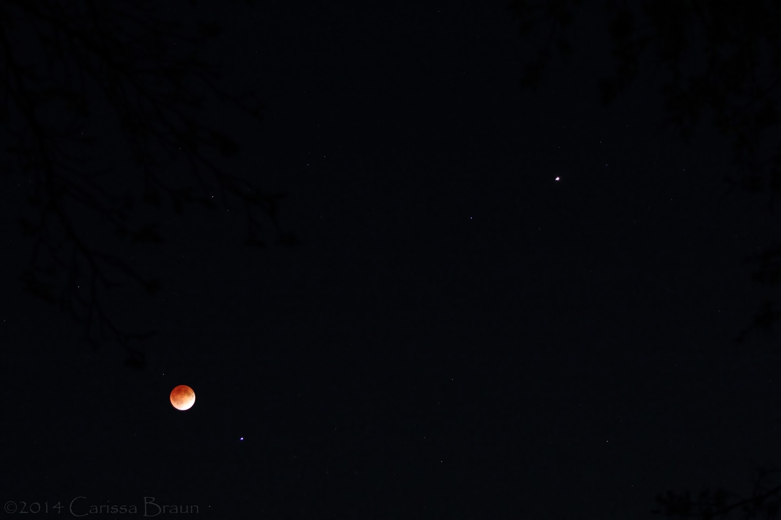 nature-photography-and-facts-blood-moon