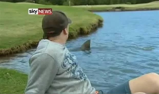 26 Shocking Photos Depict Hilarious Differences Between Britain And Australia 26 Shocking Photos Depict Hilarious Differences Between Britain And Australia
