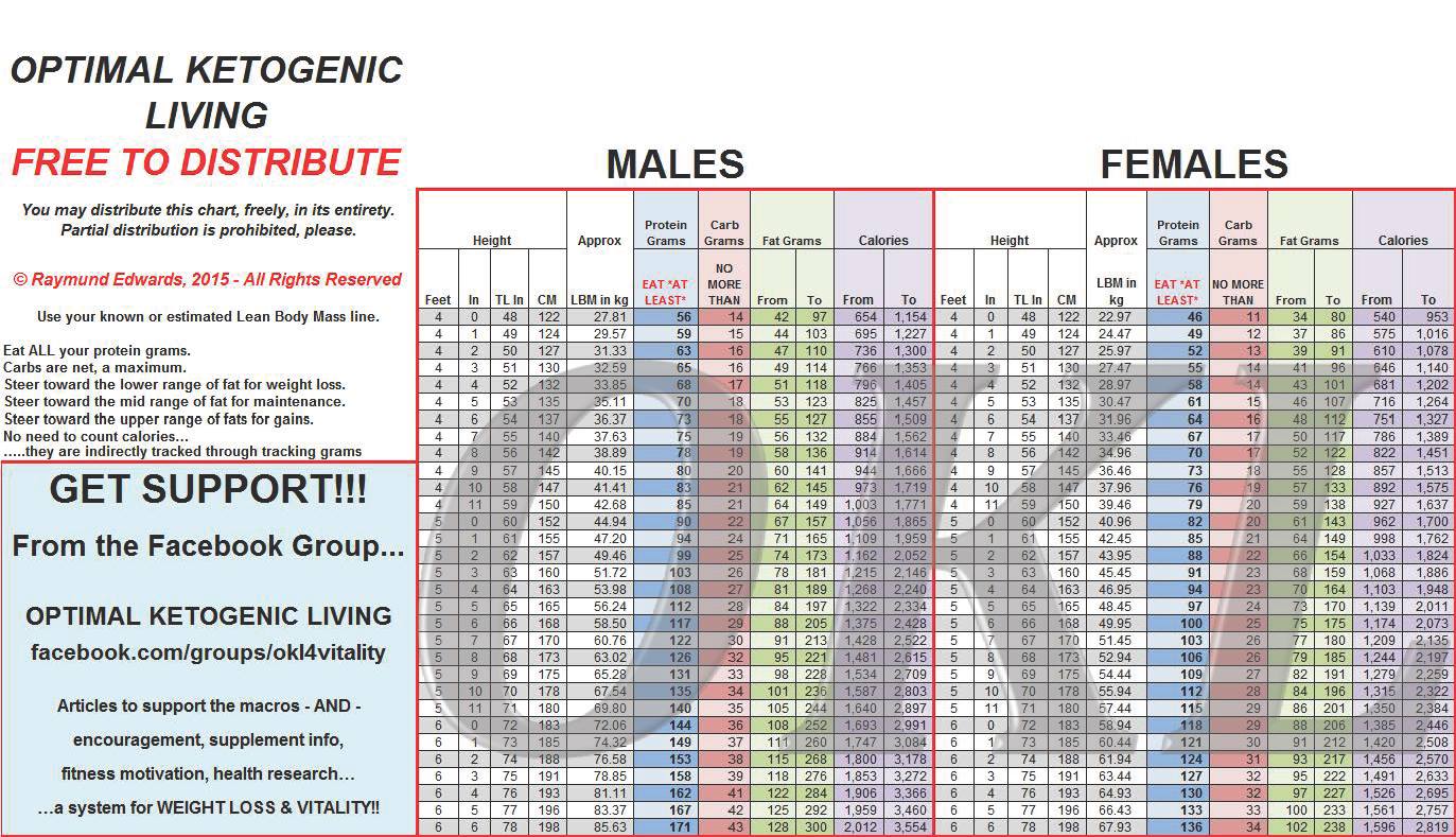 LCHF Eesti Kas KETO Peab Ilmtingimata Olema High Fat LCHF Eesti Kas KETO Peab Ilmtingimata Olema High Fat