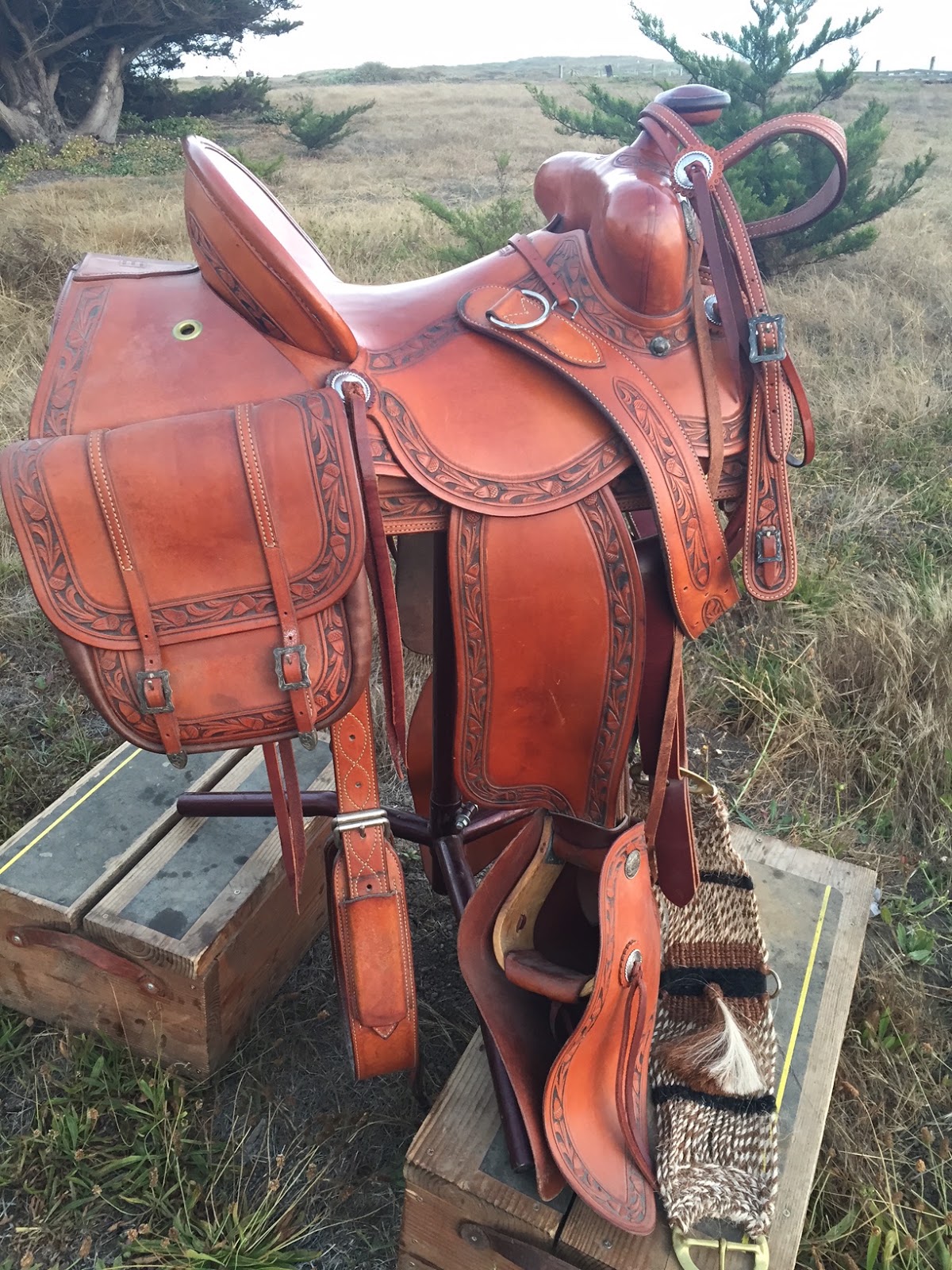 Buckaroo Leather Horse Tack, Use, Care and Maintenance Bridger Creek