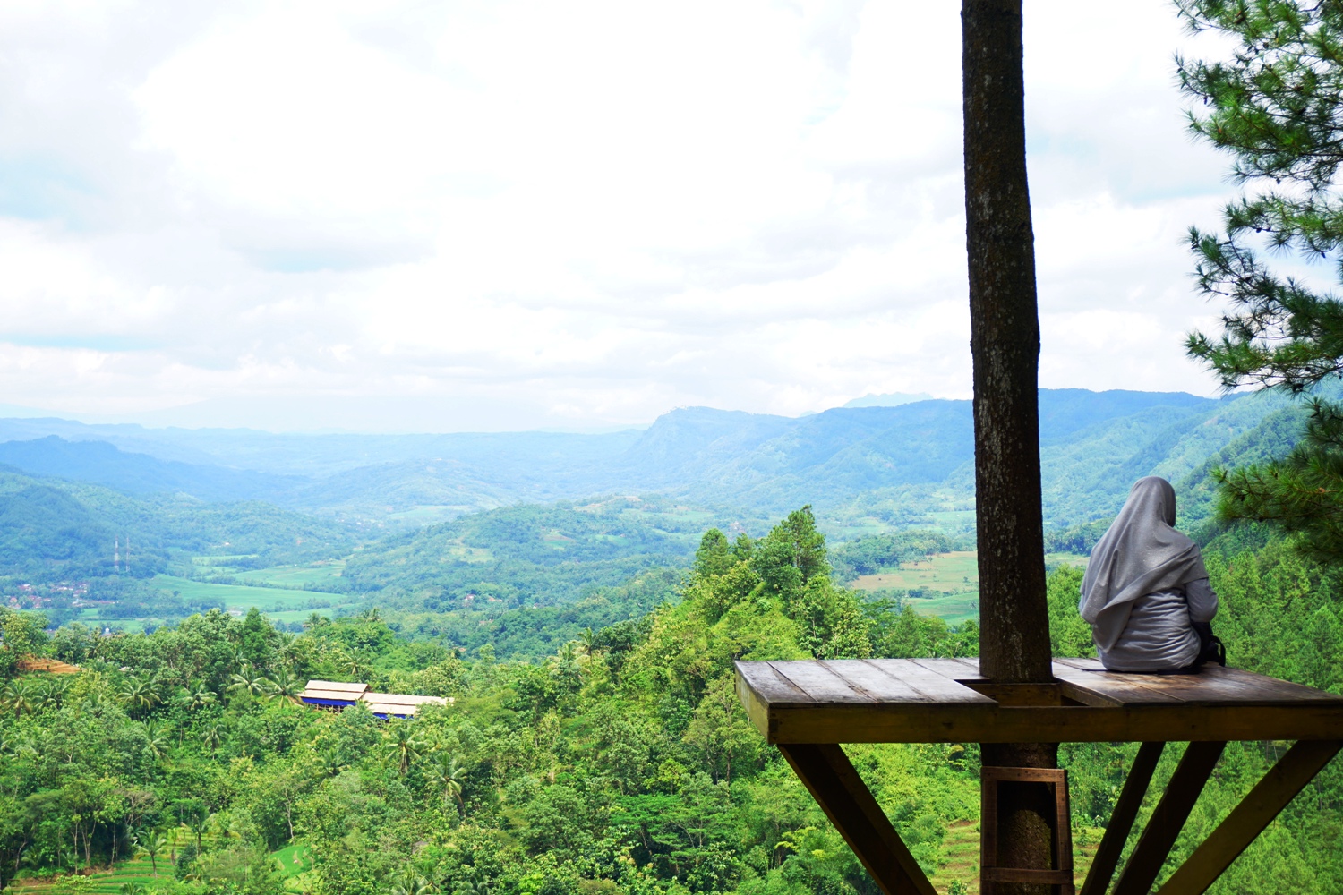 Featured image of post Pentulu Indah Tiket Berapa Di / Bukit pentulu indah atau sering juga disingkat bukita pi ini menawarkan pemandangan alam kebumen yang terlihat sangat indah, jika kamu tahu tentang kalibiru di jogja, pasti kamu bisa membayangkan pemandangan di bukit pi tersebut, hanya saja di bukit pi.