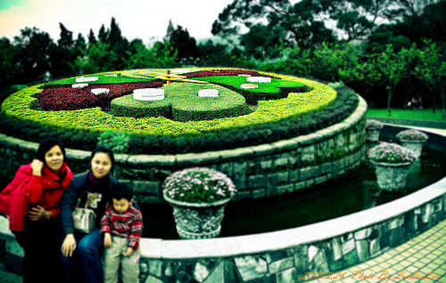 台北陽明山國家公園花季