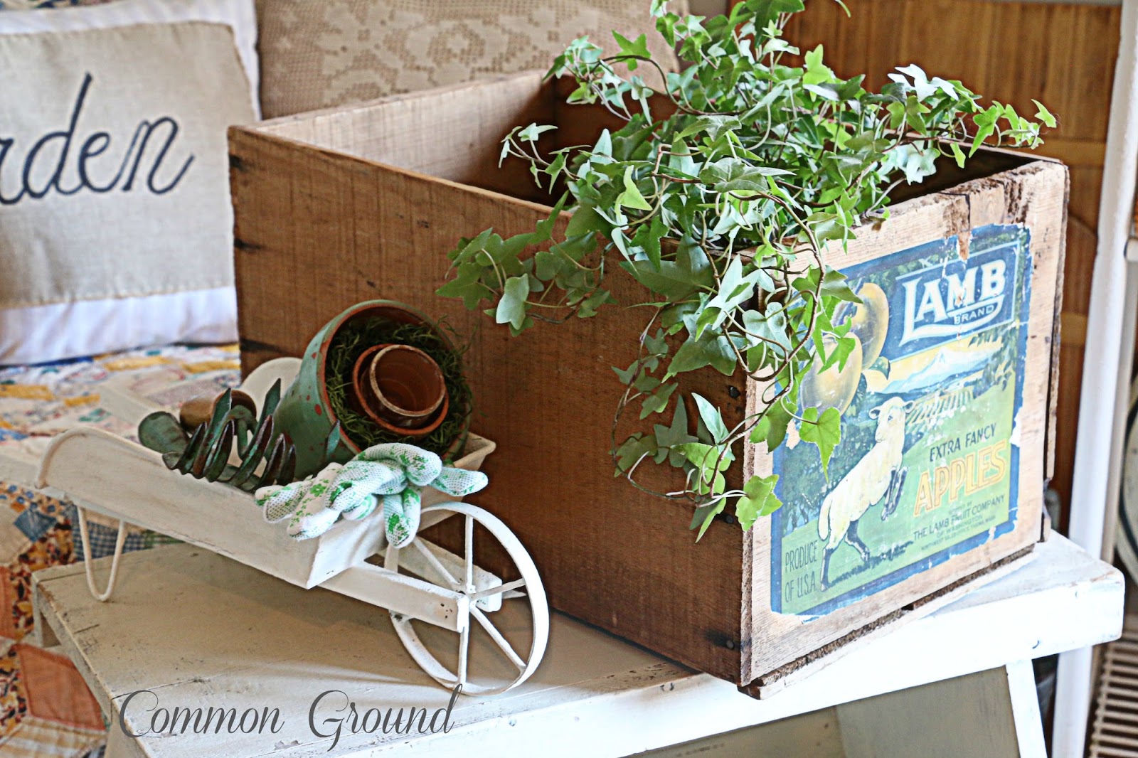 common ground Lambs and Ivy