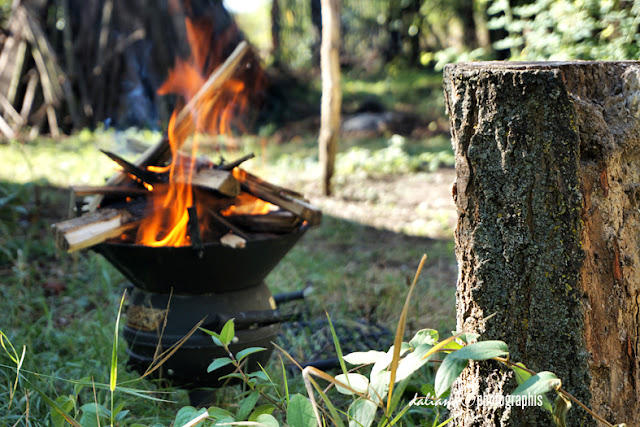 Photographis Răchitoasa, Bacău
