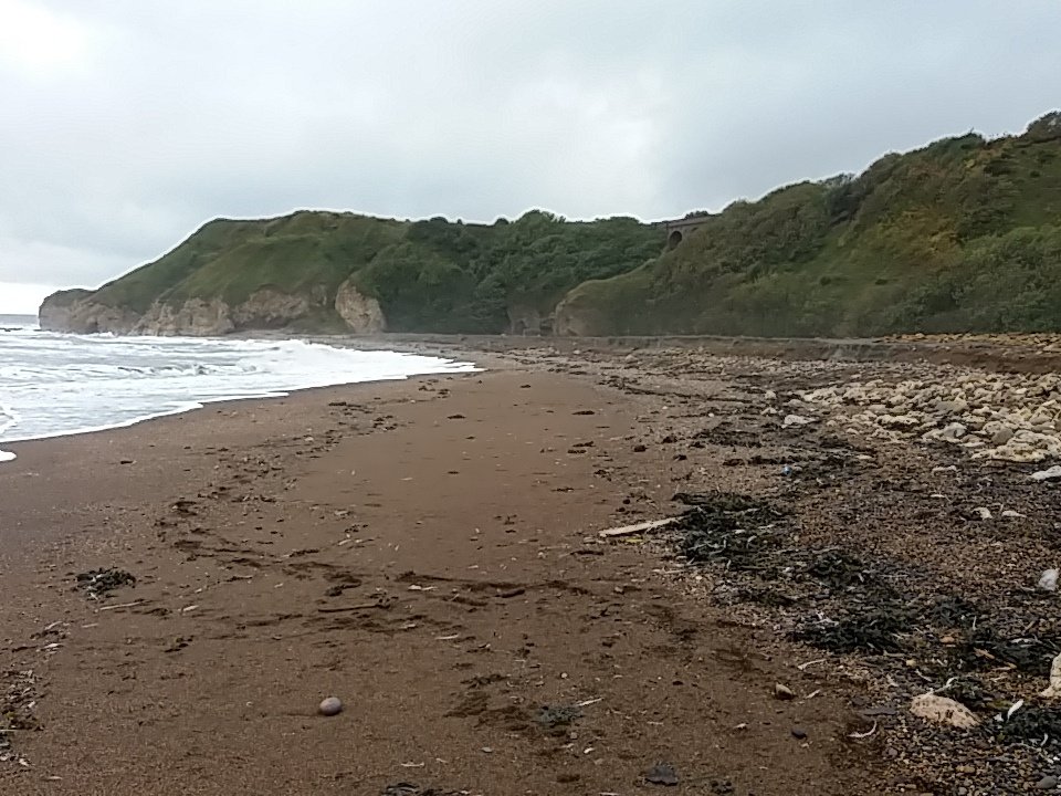 Life's A Beach. HAWTHORN HIVE BEACH VIA THE BLAST BEACH AT SEAHAM 12