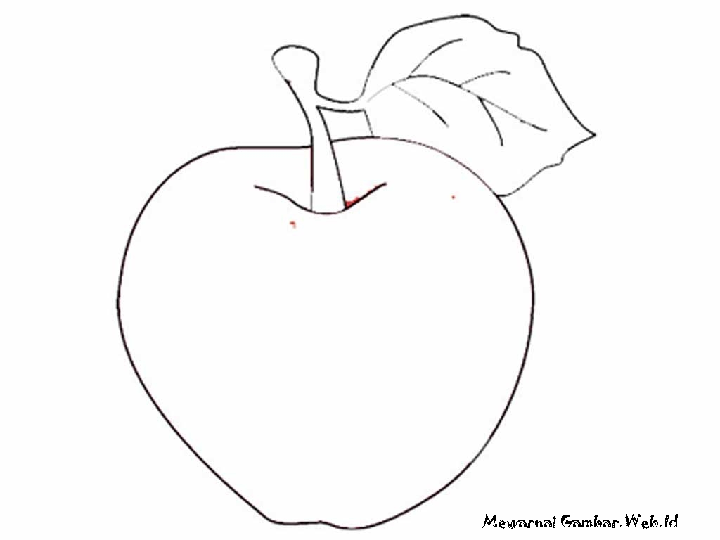 Gambar Sketsa Apel / Gambar mewarnai buah apel dan terdapat beberapa ...