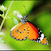 Its Honey Time