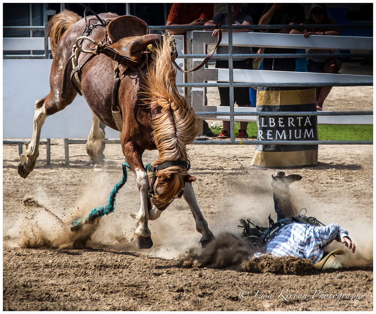 Eat Dirt Cowboy