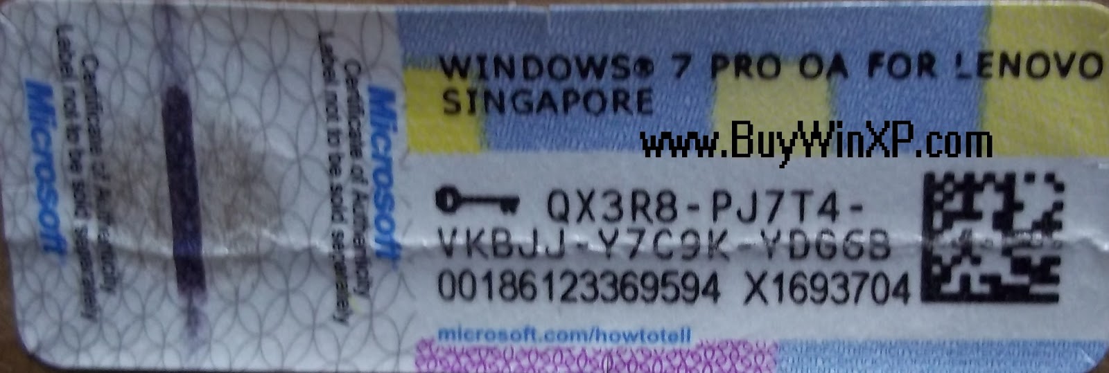 Windows Windows