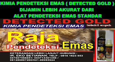 ALAT PENDETEKSI EMAS GEOLOGI