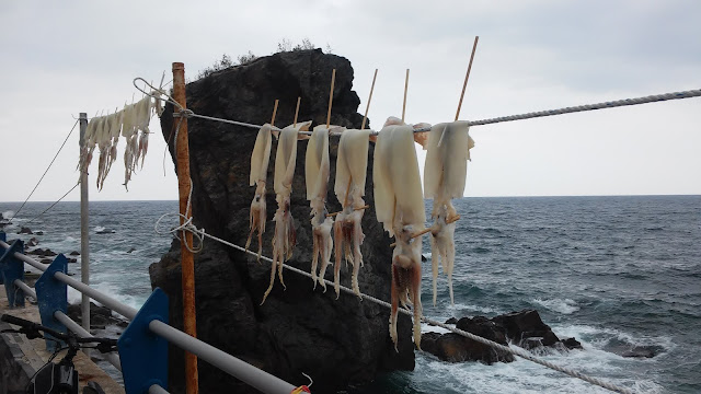 Велопоход вдоль Восточного (Японского) моря Южной Кореи Велопоход вдоль Восточного (Японского) моря Южной Кореи