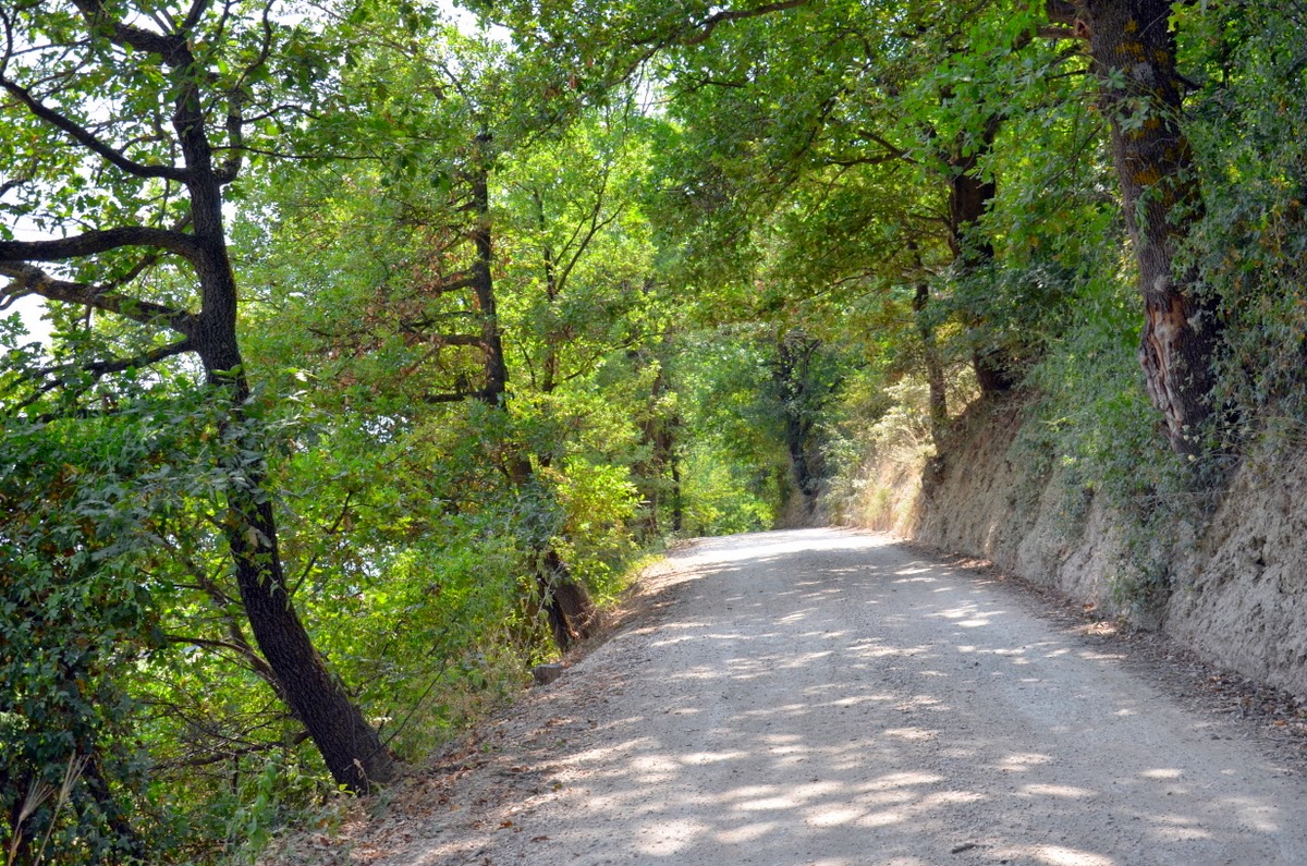 strade bianche tuscany bike rental excursions