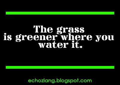 The grass is greener when you water it