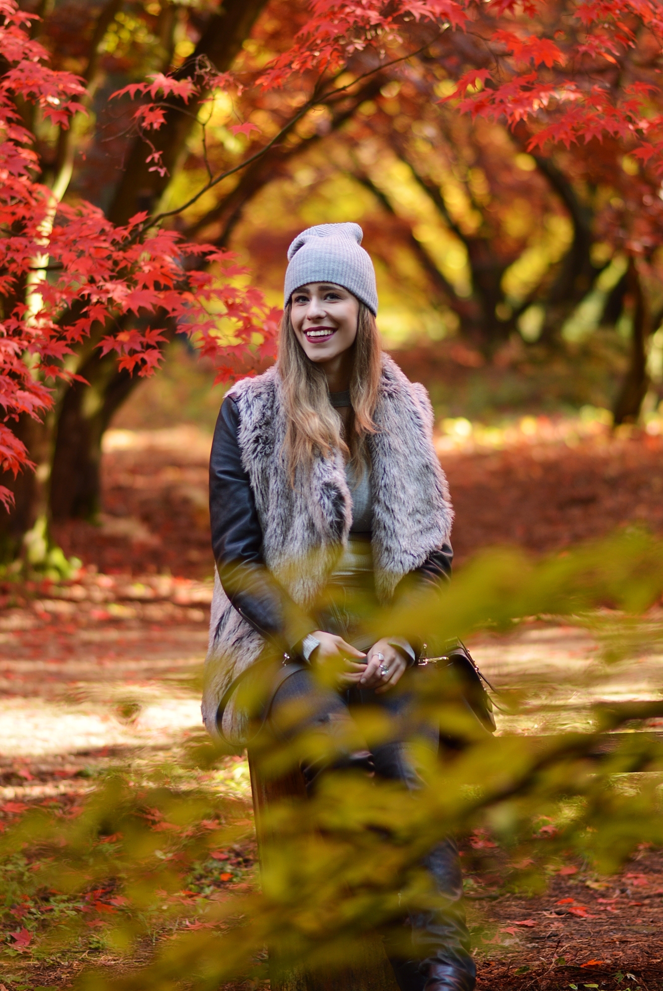 Arboretum w Rogowie