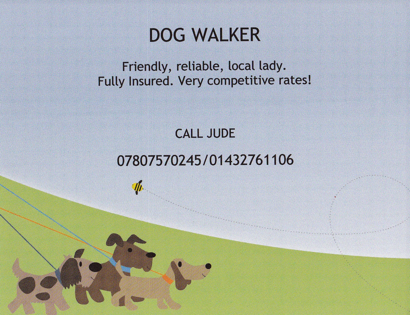 Home Dog Boarding Hereford Home Dog Boarding Hereford