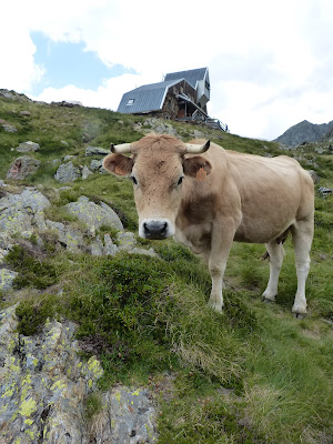 Refuge de l'étang du Pinet