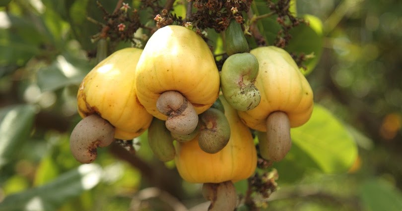 Бедные страны, которые на самом деле богатые География,Геополитка