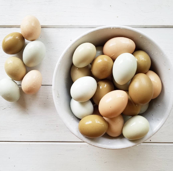 Proper Egg Handling And Storage Fresh Eggs Daily