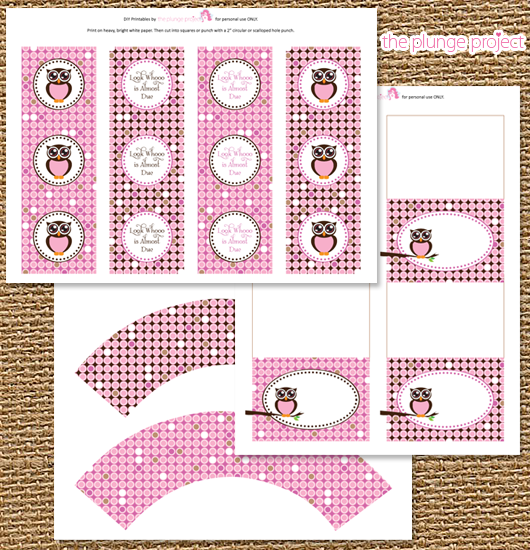 Mini Kit de Búhos en fondo rosa, para Imprimir Gratis.