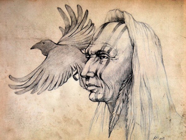 carlos castaneda gli insegnamenti di don juan