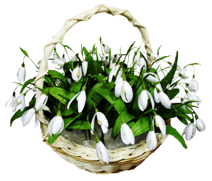 ForgetMeNot: snowdrops in baskets