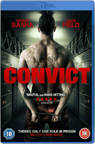 Convict 2014 BluRay 480p 300mb ESub