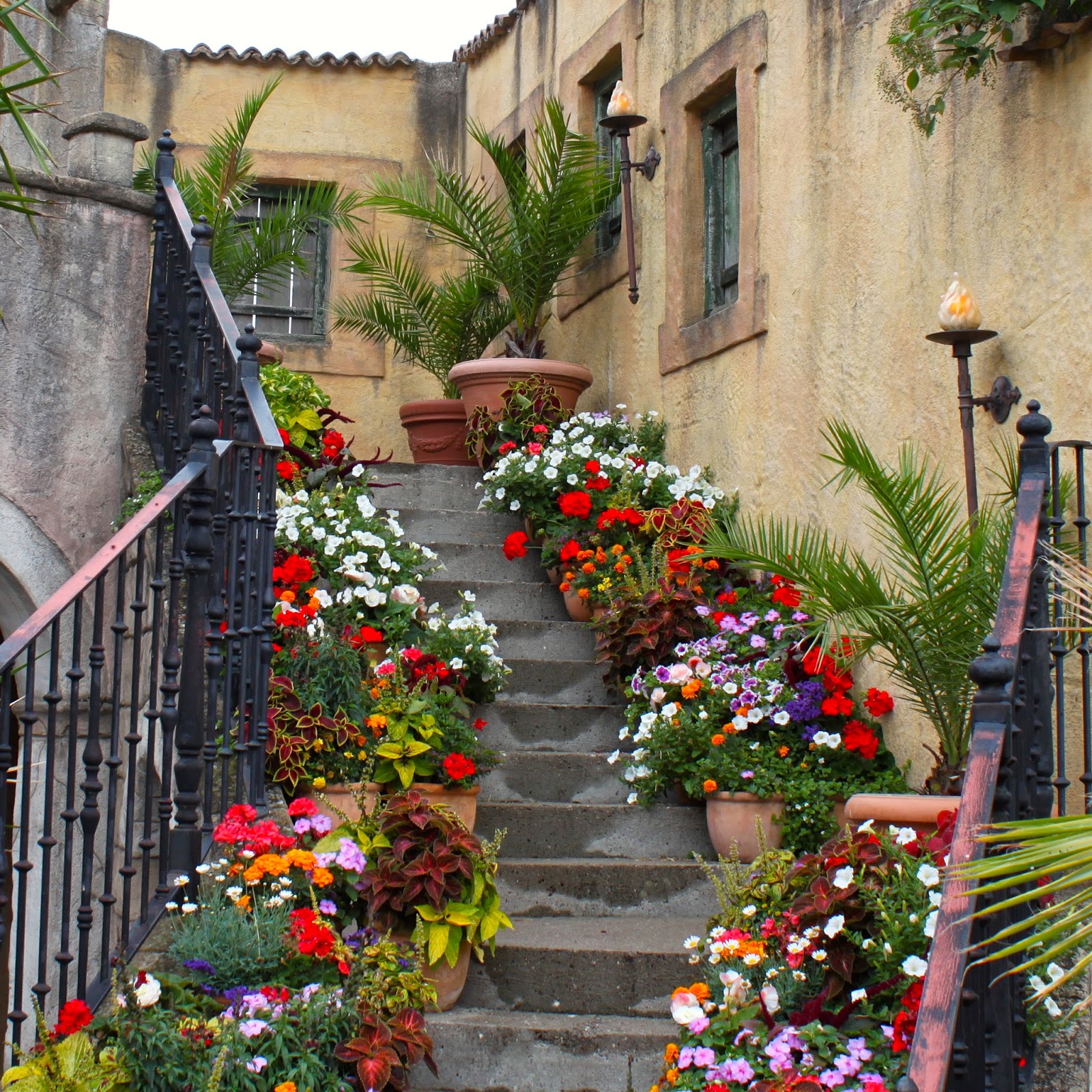 Mein Blog über Garten, Landhaus, Shabby &amp; co Ideen für