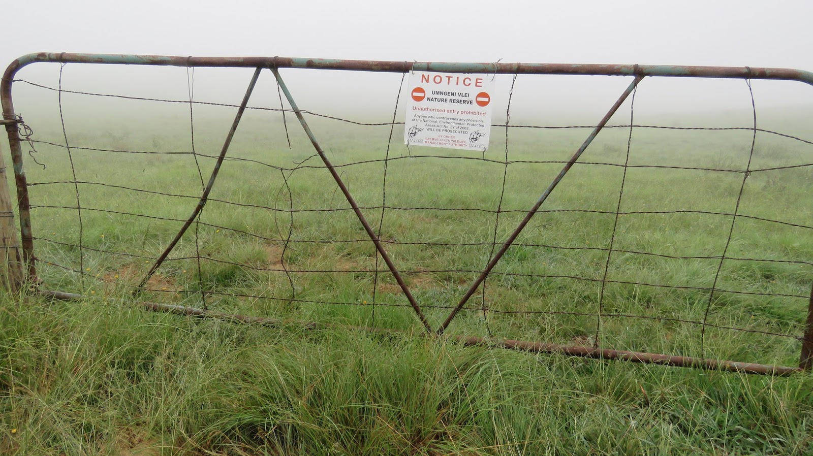 Southern Africa's Ramsar Sites: Pictures from SA - Umgeni Vlei