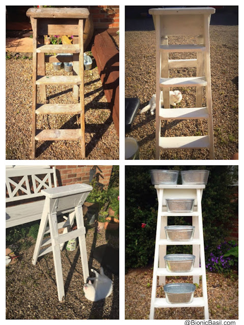 Gardening with Cats ©BionicBasil® Flower Ladder
