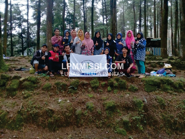 Hmj