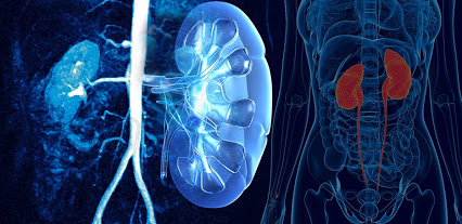 Khulna Doctors Khulna Urology Nephrologist Doctor List