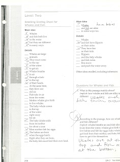 RockStar Reading Blog: Assessment and Intervention