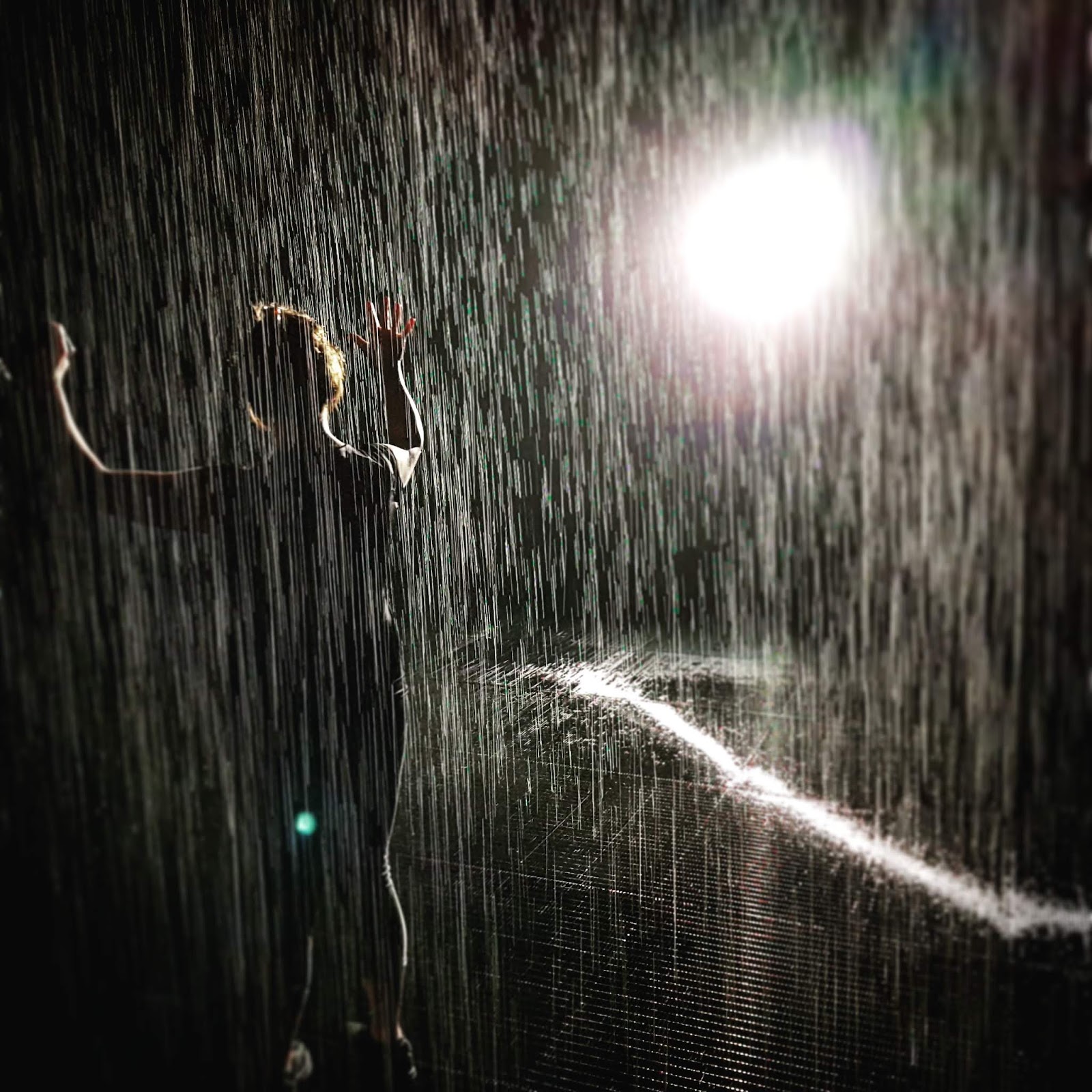 Fake Plastic Souks Rain Room Sharjah Rainroomsharjah