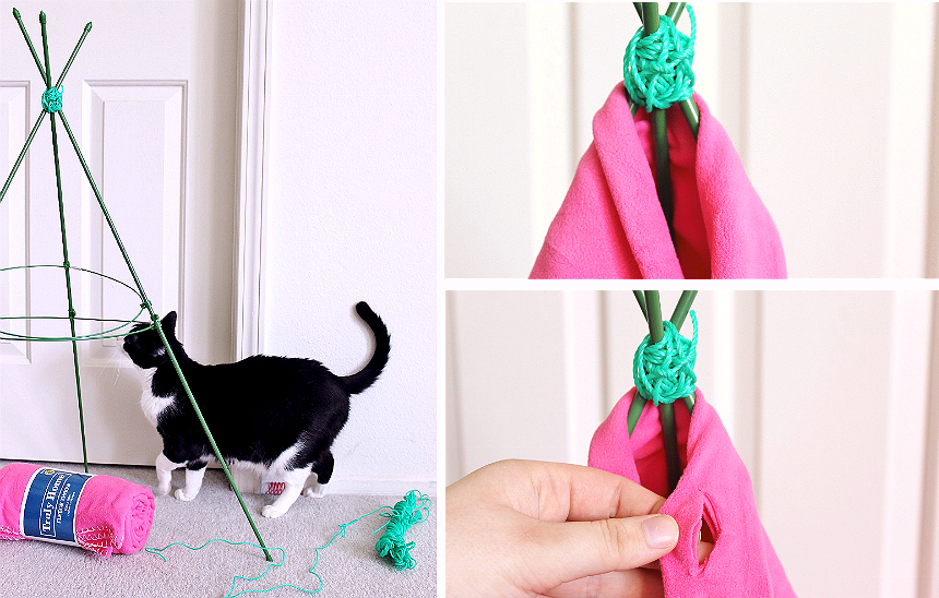 Momma Told Me Affordable Ways To Celebrate Easter With Pets 5 D.I.Y