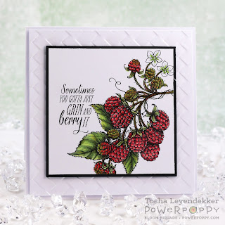 http://stamptalkwithtosh.blogspot.com/2015/08/scrumptious-raspberries-by-power-poppy.html