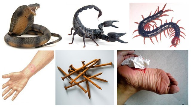 Tolong Sebarkan!! 1x Anda Share Bisa Menyalamatkan Ribuan Nyawa Manusia