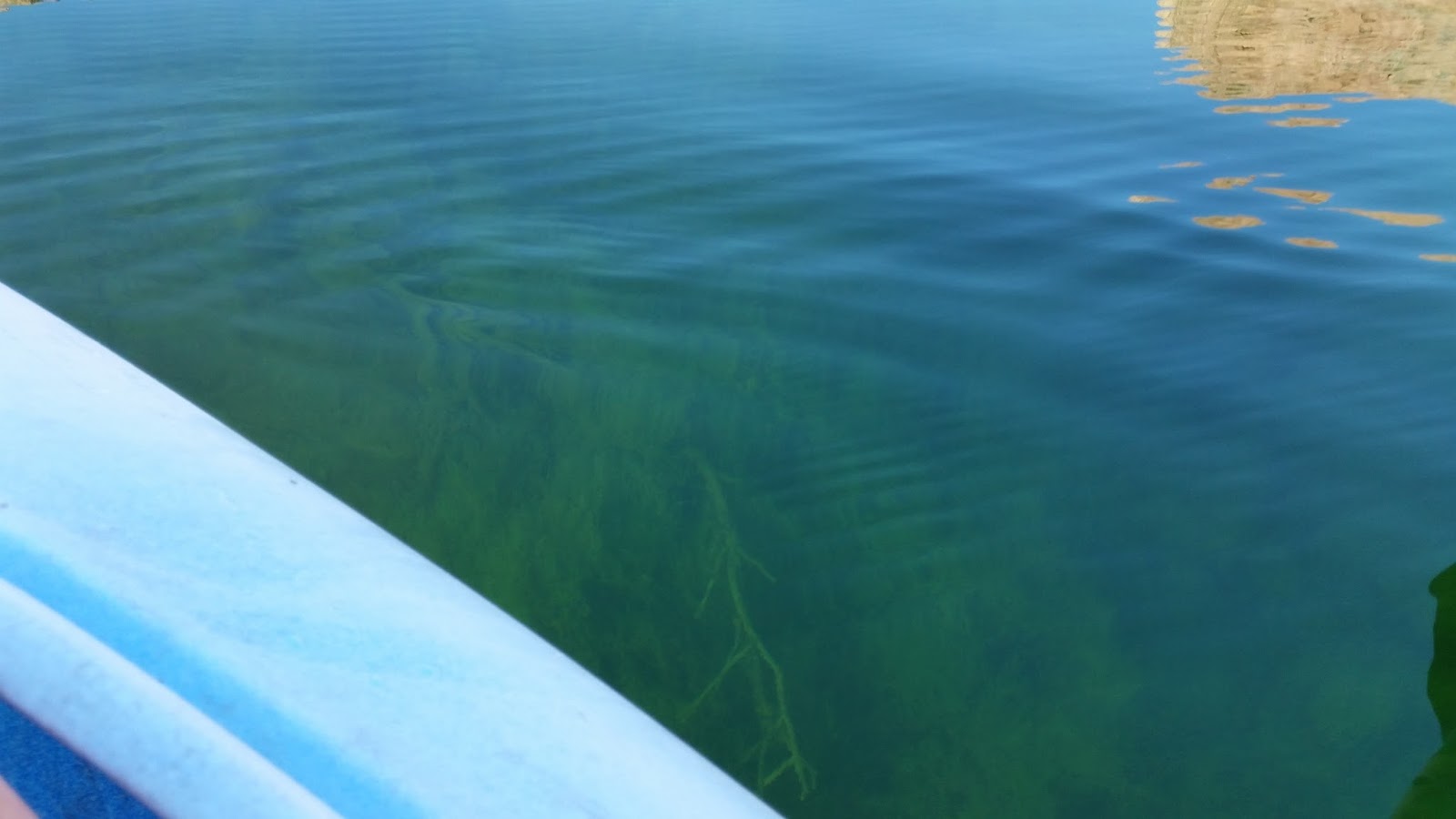 Technically Homeless Campground Review Telephone Cove Searchlight