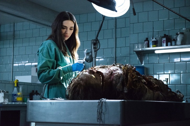 Swamp Thing - Episode 1.01 - Pilot - Promotional Photos + Synopsis