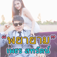 พยายาม cover