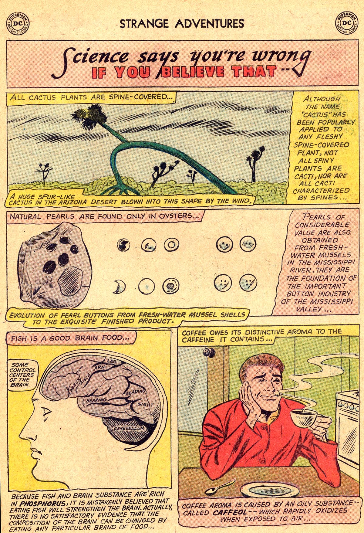 Read online Strange Adventures (1950) comic -  Issue #125 - 23