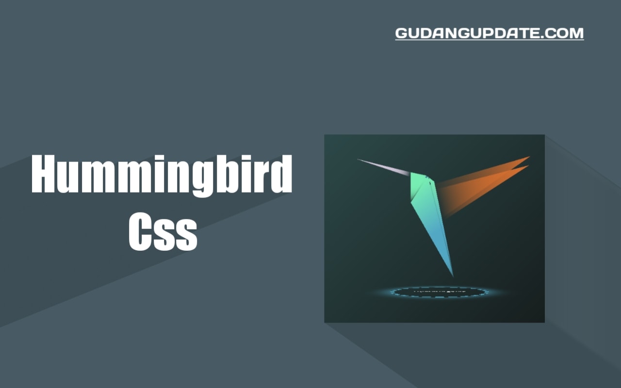 How to Create a Hummingbird Animated Background with Css