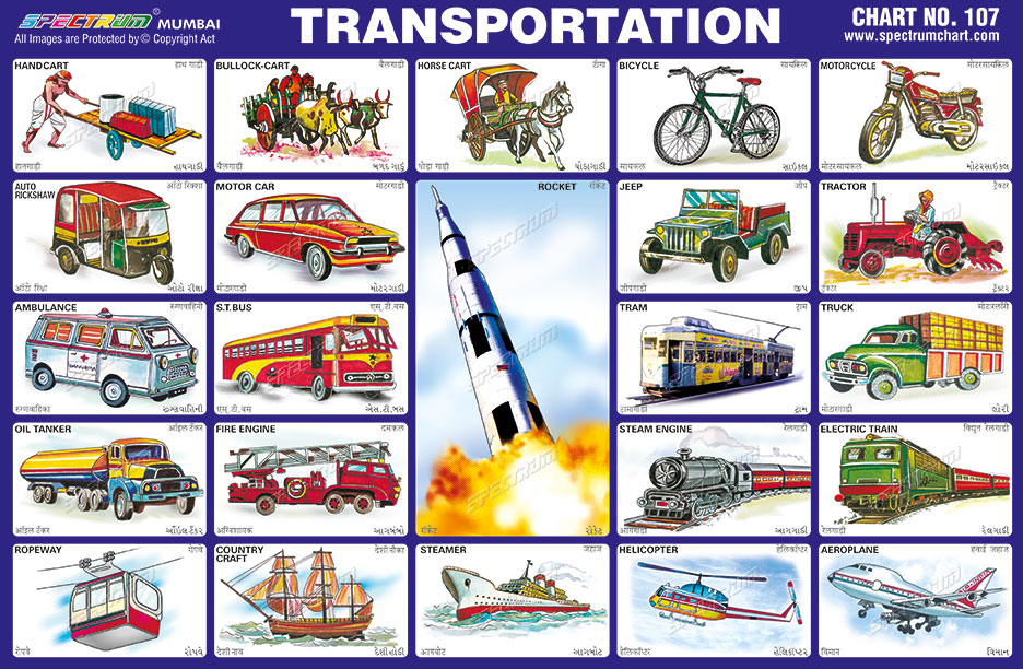 Types Of Transportation Chart