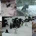 ΓΙΑ ΠΡΩΤΗ ΦΟΡΑ! Πώς αντιδρούν τα ζώα στο χιόνι...