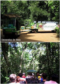 Passeios em Foz do Iguaçu Macuco Safari